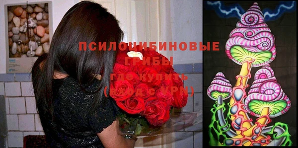 синтетический гашиш Бородино